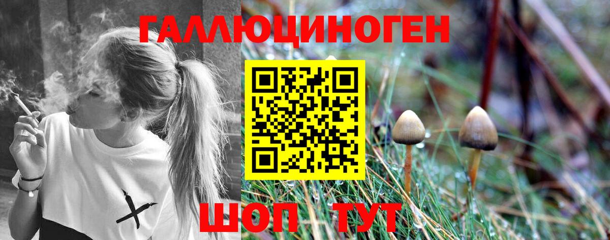 Мурино  Псилоцибиновые грибы Magic Shrooms  Вход с VPN 