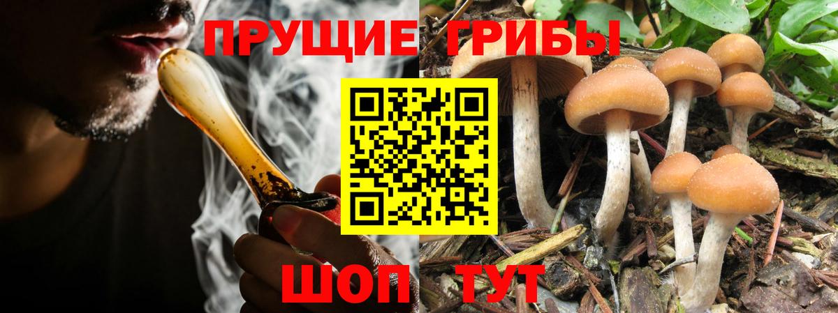 Псилоцибиновые грибы Magic Shrooms Мурино